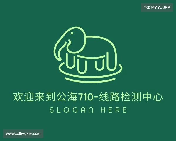 了解欢迎来到公海710-线路检测中心